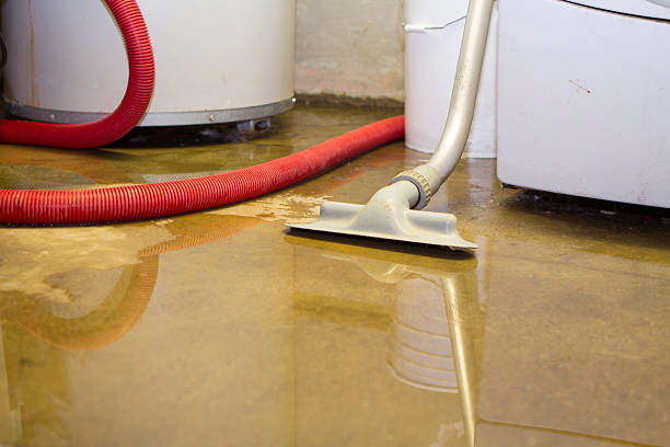 24/7 water damage repair in Newton, AL